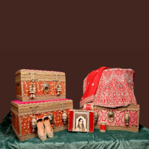 Shagun Pitari - 4